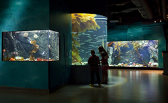 Shaw Ocean Discovery Centre