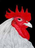 ART OFF THE FENCE annual outdoor art show and sale