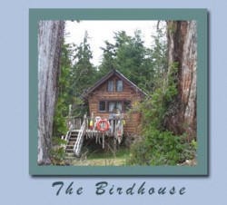 The Birdhouse