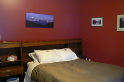 One Bedroom  Suite
