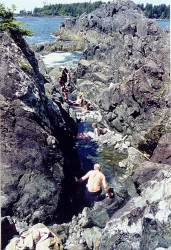 Hot Springs with Whale Watching - 6 Hour Tour