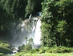 Sightseeing Tours