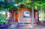 Cabin #1