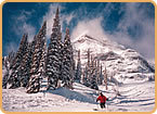 Fernie Powder Package
