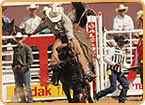 Equestrians & Cowboys