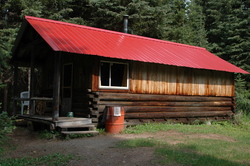 Cabin 8