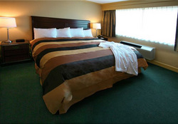 Deluxe Suites