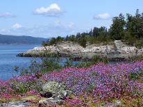 Copeland Islands Marine Park Cruise