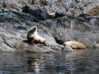 Mitlenatch Island Nature Provincial Park Lunch Cruise