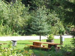 Campsites