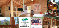 Cabin Rentals