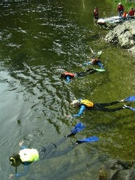 Salmon Snorkeling Tours