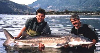Stay & Fish