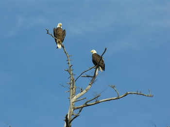 Gulf Island boat and hiking tour