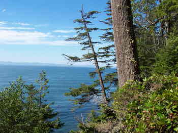 East Sooke Park hike