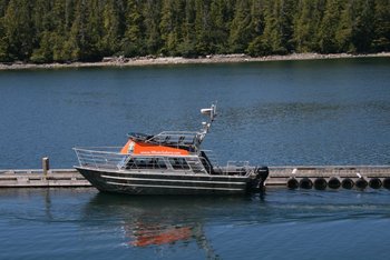 Hot Springs Cove Tours -  Boat both ways