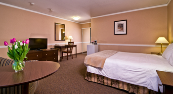 Standard Guest Rooms with 1 Queen Bed