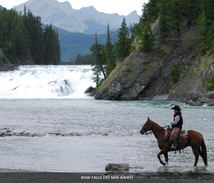 Horseback Rides