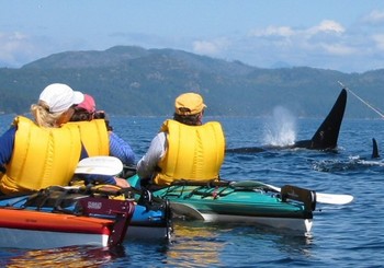 Paws and Jaws Wildlife Tour