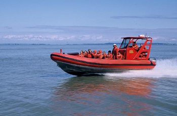 Stay & Play Package � A Whale of an Adventure!