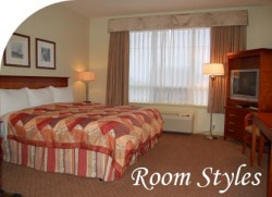 King bedded Room