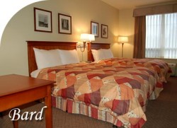Twin Queen Room