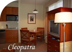 Queen suite with Balcony and Kitchenette