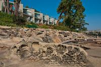 Inn of the Sea Resort Rental Condo, Saanichton