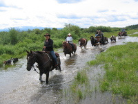 Blackwater Spruce Ranch, Dale and Yvonne Dunn, Quesnel