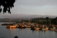The Marina B & B, Cindy Milligan, Port Hardy