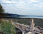 Beachway Vacation Rentals and B & B Suites, Laurel Fairlcough, Campbell River