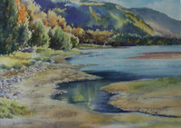 Sandra Donohue, Robson
