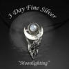 Moonlighting Fine Silver Metal Clay Jewelry Making Workshop