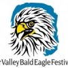 Fraser Valley Bald Eagle Festival 