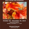 Victoria Chapter Federation of Canadian Artists 2015 Juried Fall Exhibition