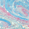 Marbling workshop with Claire Ryder for ALL AGES