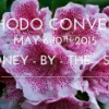 2015 Rhodo Convention