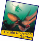 Pacific Undersea Gardens