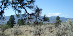 White Lake Grasslands