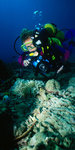 Diving