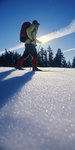 Cross-country Skiing