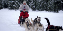 Dog sledding