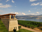 Grape Escape - Okanagan Wine Tour 