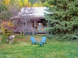 The Homestead Cabin