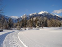 Fernie Nordic Society, Fernie