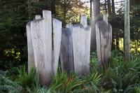 Tofino Botanical Gardens Foundation, Chenoa Akey, Tofino - Ucluelet - Pacific Rim