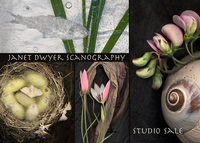 Janet Dwyer Photography, Janet Dwyer, Salt Spring Island