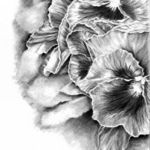 Brenda Hill Botanical Artist, Kamloops