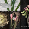 Janet Dwyer PhotoScanography Studio Show and Sale