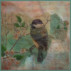 Encaustic Mixed Media Workshop (Beginners) - 1 space left - last one till Sept.